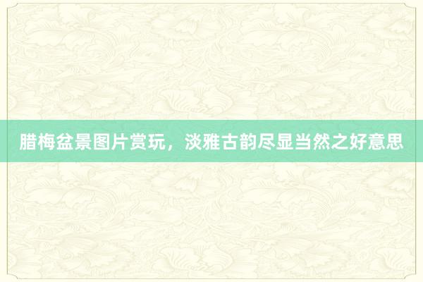 腊梅盆景图片赏玩,淡雅古韵尽显当然之好意思